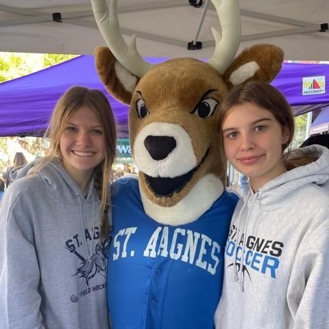 mascot mascot